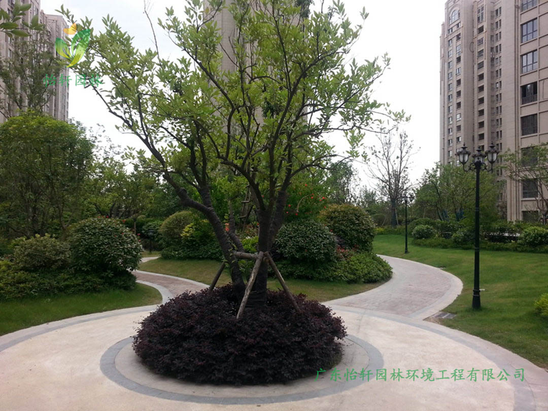 上海远洋香奈高档小区园林绿化工程效果图