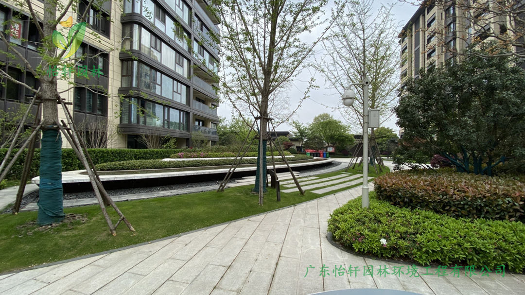 2肇庆碧桂园玖龙湾公馆小区绿化工程改造案例图