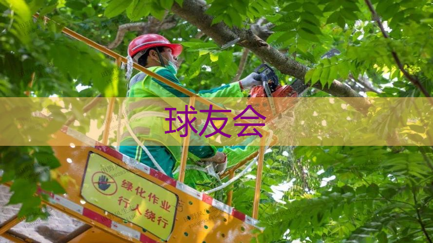 政府绿化工程的利润有多大 政府绿化工程的利润有多大