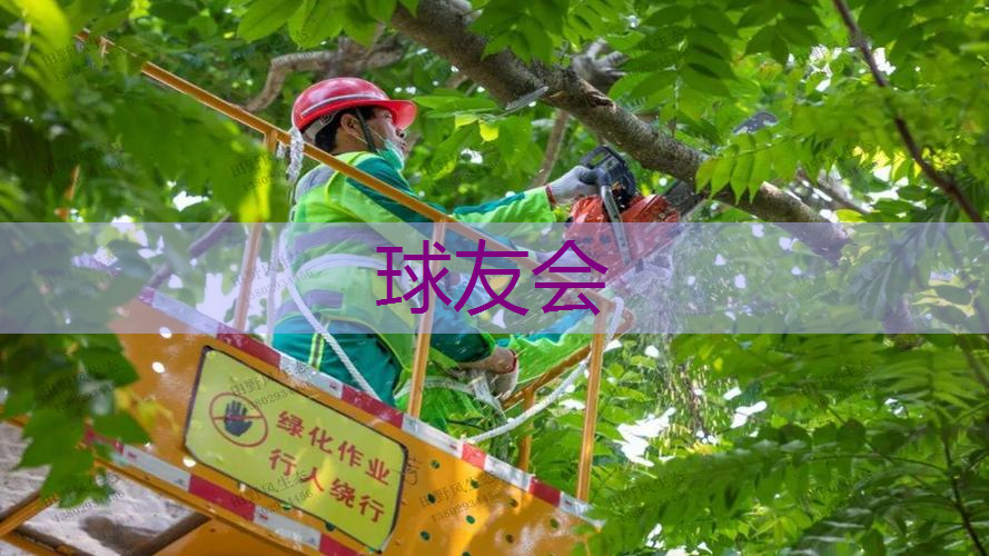 户外园林景观设计 户外园林景观设计