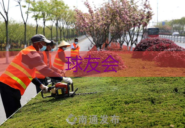 星光岛绿化工程 星光岛绿化工程