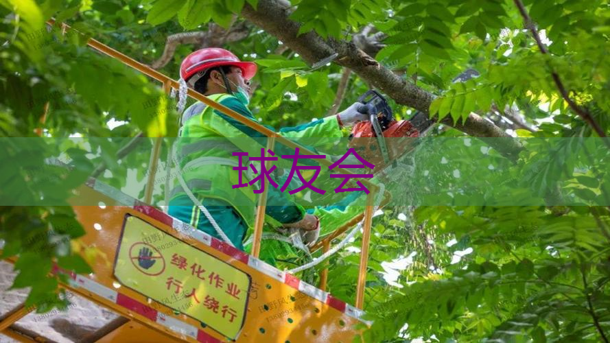金昌湿地公园绿化工程项目 金昌湿地公园绿化工程项目