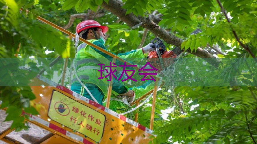 成功入职园林管理岗位的秘诀:掌握面试必备技能! 成功入职园林管理岗位的秘诀:掌握面试必备技能!