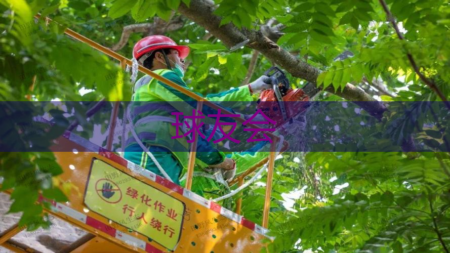 蜀山区综合园林绿化工程 蜀山区综合园林绿化工程
