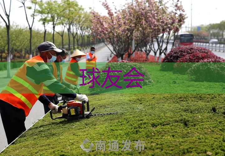 绿化工程营养土施工流程 绿化工程营养土施工流程