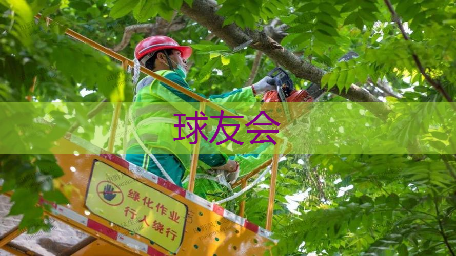 乌鲁木齐小区绿化工程公司 乌鲁木齐小区绿化工程公司
