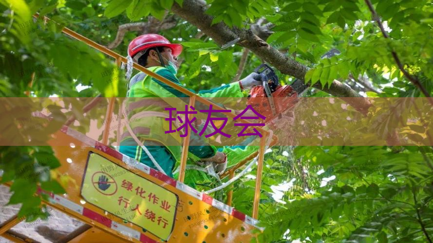 四川垂直绿化工程报价 四川垂直绿化工程报价