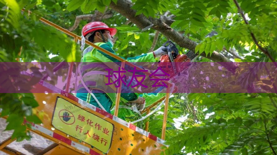 巩义绿化养护价格标准最新 巩义绿化养护价格标准最新