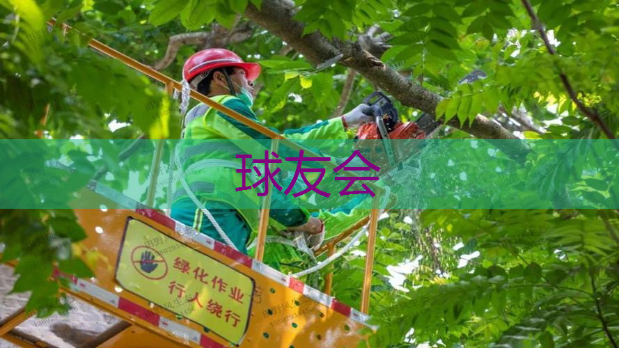 室外总体及绿化工程细则 室外总体及绿化工程细则