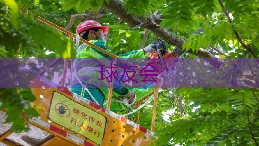 张家港中森园林绿化工程有限公司 张家港中森园林绿化工程有限公司