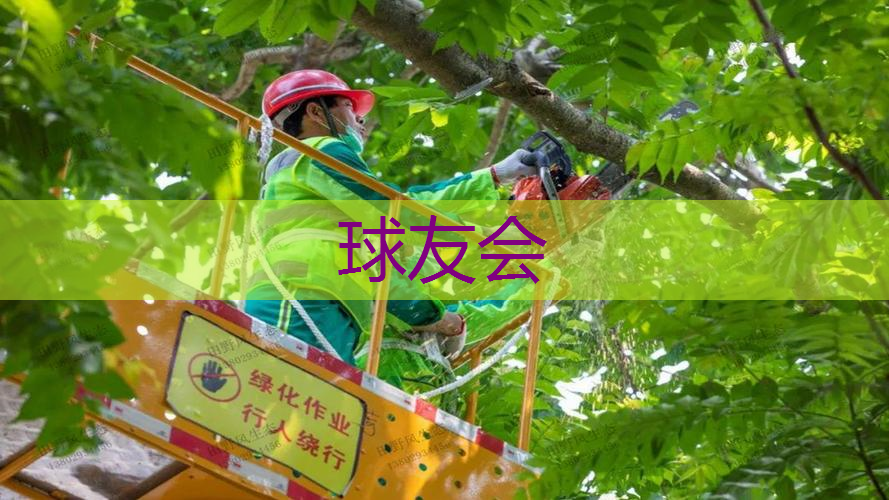 新汉城市绿化 新汉城市绿化