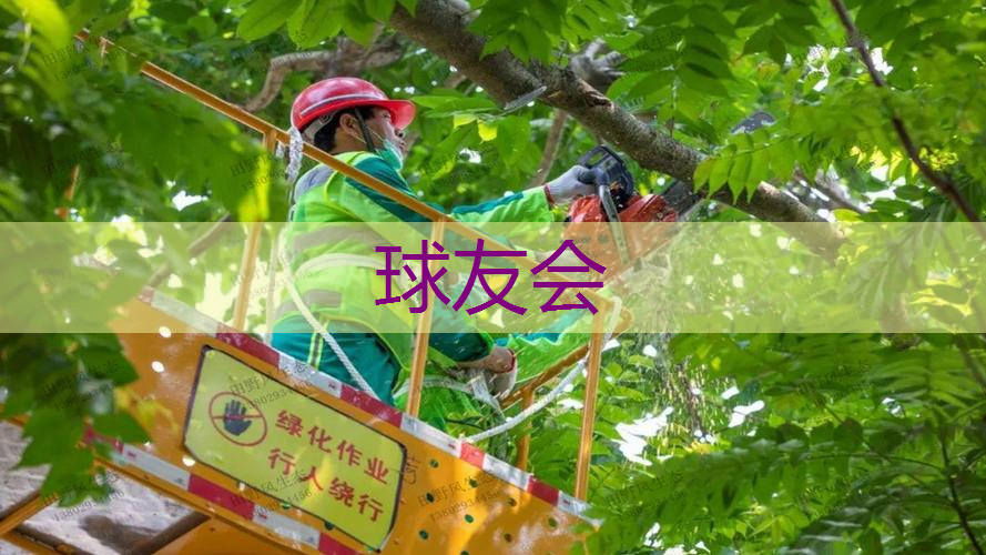 松江园林绿化工程 松江园林绿化工程