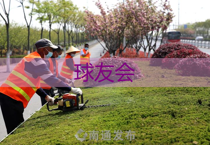 松江园林绿化工程 松江园林绿化工程