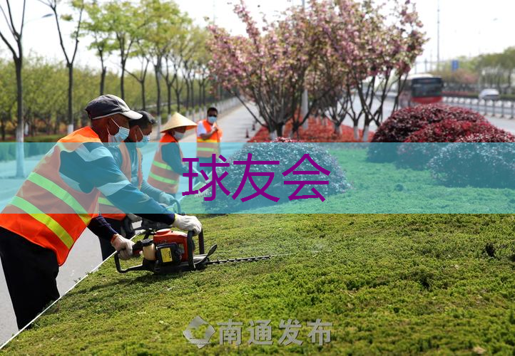 汨罗绿化苗木市场如何 汨罗绿化苗木市场如何