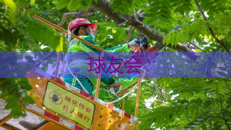 市政工程绿化工程实战案例 市政工程绿化工程实战案例