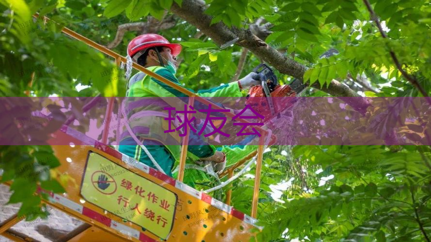 永州城市绿化养护费用标准规定 永州城市绿化养护费用标准规定