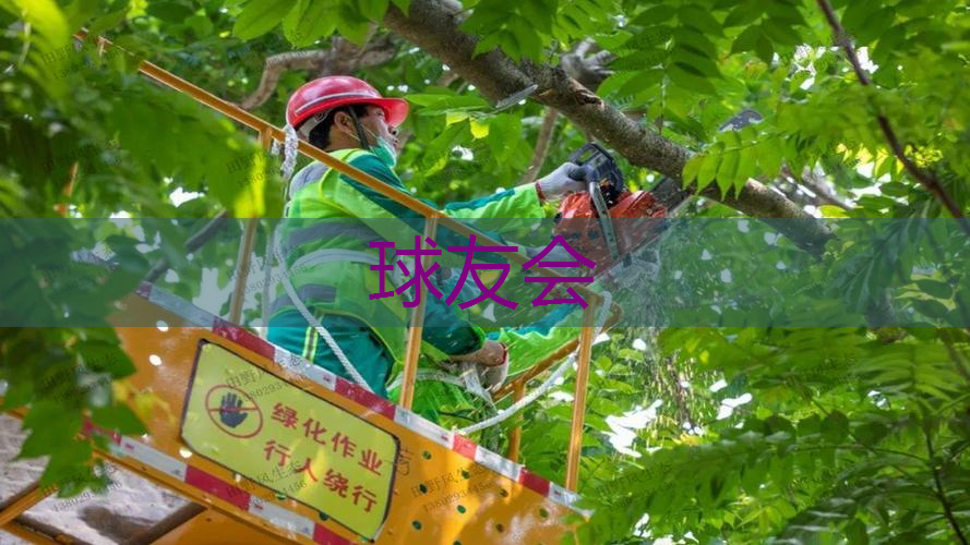 枝江城市绿化灌木品种 枝江城市绿化灌木品种