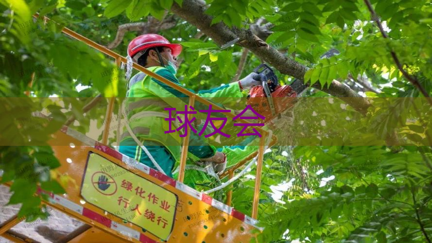 德阳哪里招绿化工 德阳哪里招绿化工