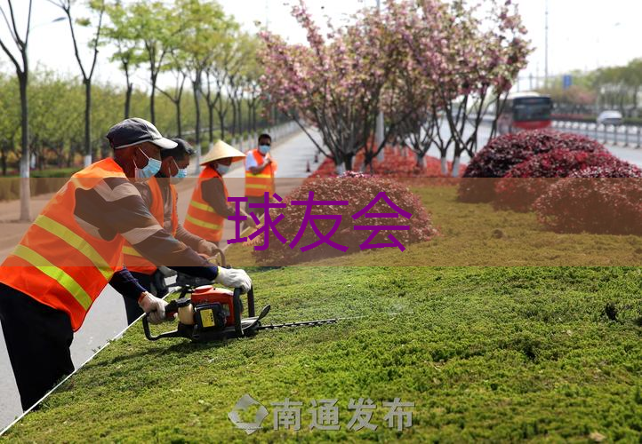 巩义杜甫路绿化工程项目 巩义杜甫路绿化工程项目