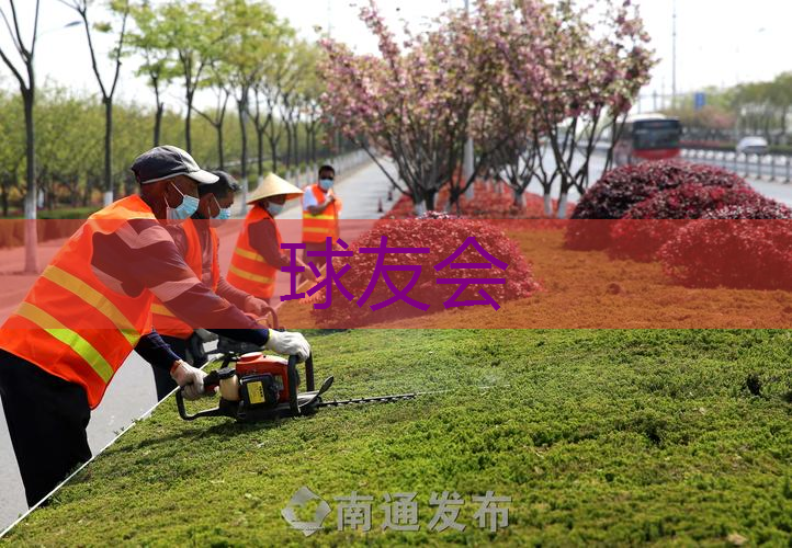 奉贤区草坪绿化工程费用 奉贤区草坪绿化工程费用