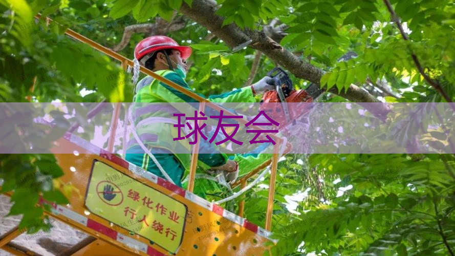 持续改善园林管理的关键建议:加强人才培养和技术创新 持续改善园林管理的关键建议:加强人才培养和技术创新