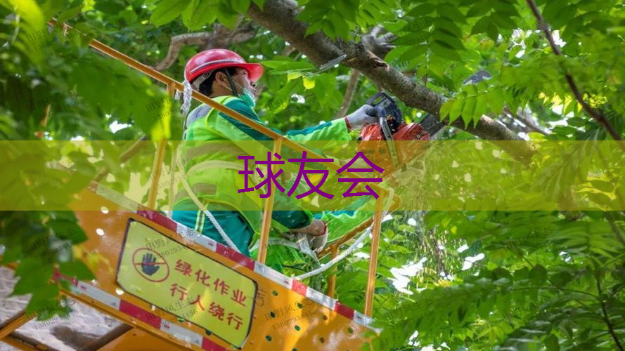 如何选择合适的绿化草坪进行园林绿化工程 如何选择合适的绿化草坪进行园林绿化工程