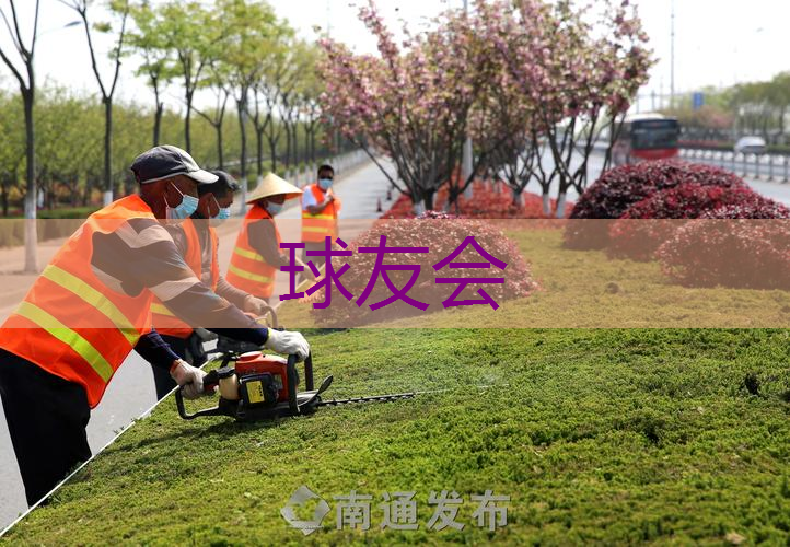 宁德城市绿化带种植什么植物比较好 宁德城市绿化带种植什么植物比较好