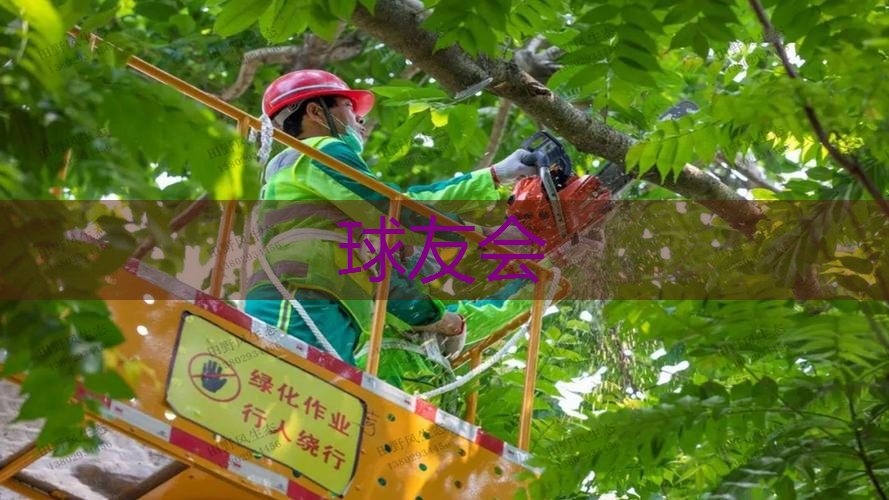 林州找绿化工作 招聘信息 喀什市 林州找绿化工作 招聘信息 喀什市