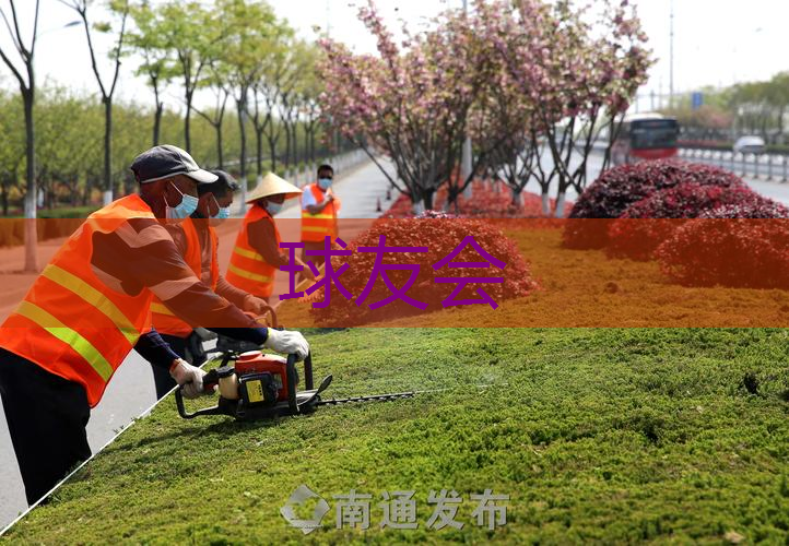 丽江附近哪里有绿化草坪卖的 丽江附近哪里有绿化草坪卖的