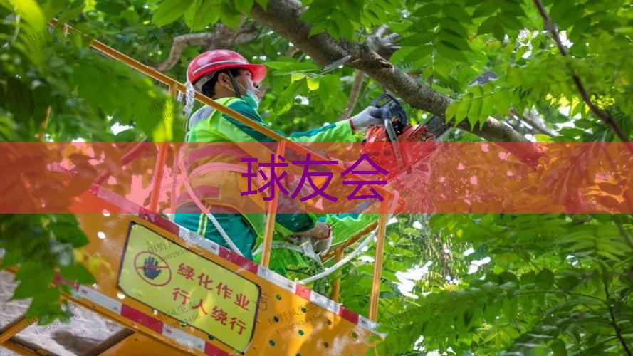 十堰城市绿化包括哪些内容 十堰城市绿化包括哪些内容