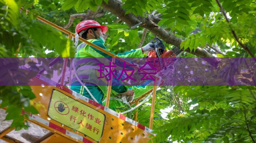 承德城市绿化养护费用标准表 承德城市绿化养护费用标准表