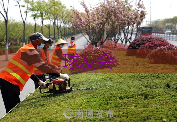 江油绿化工程招标网公告最新 江油绿化工程招标网公告最新