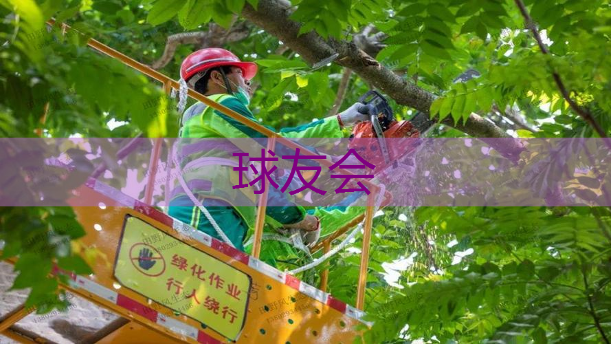 古典园林景观设计茶 古典园林景观设计茶