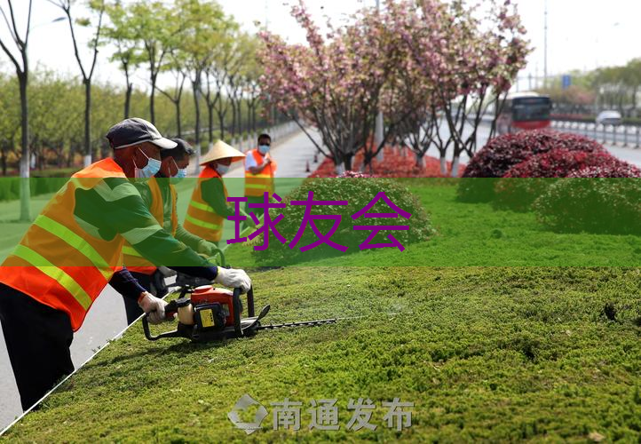 重庆马路牙子绿化工程 重庆马路牙子绿化工程
