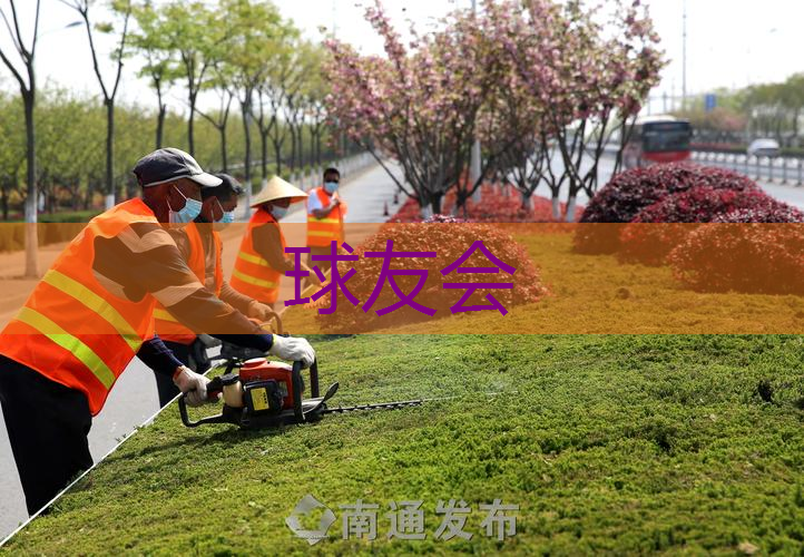 廊坊绿化工程用苗采购 廊坊绿化工程用苗采购
