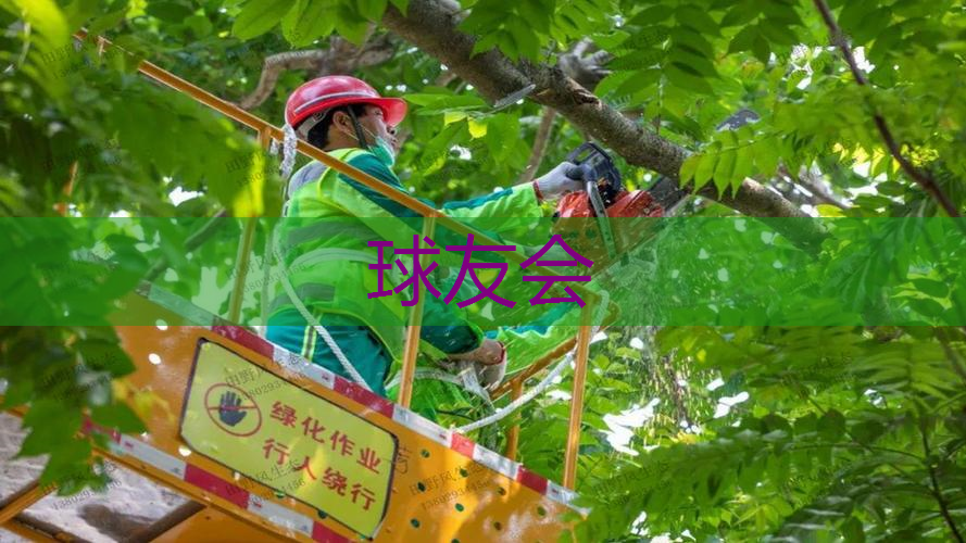 浙江园林绿化工程收费 浙江园林绿化工程收费