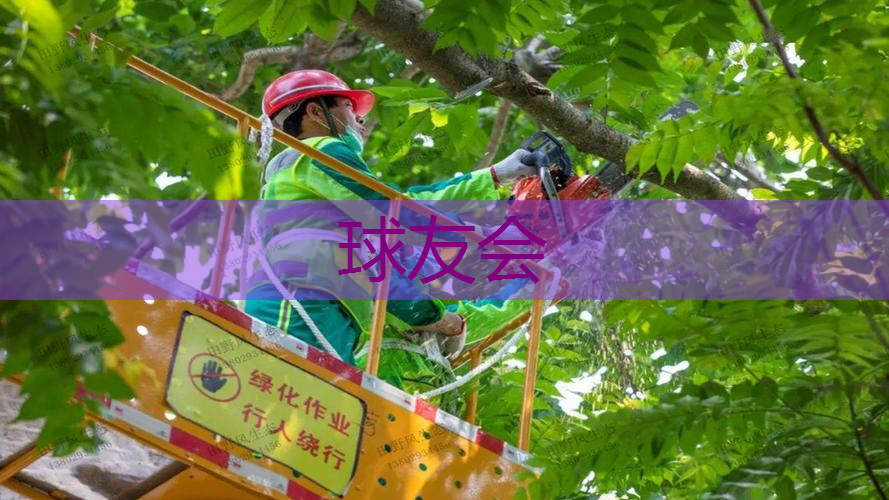 绿化景观色设计如何提升学校校园的整体形象? 绿化景观色设计如何提升学校校园的整体形象?