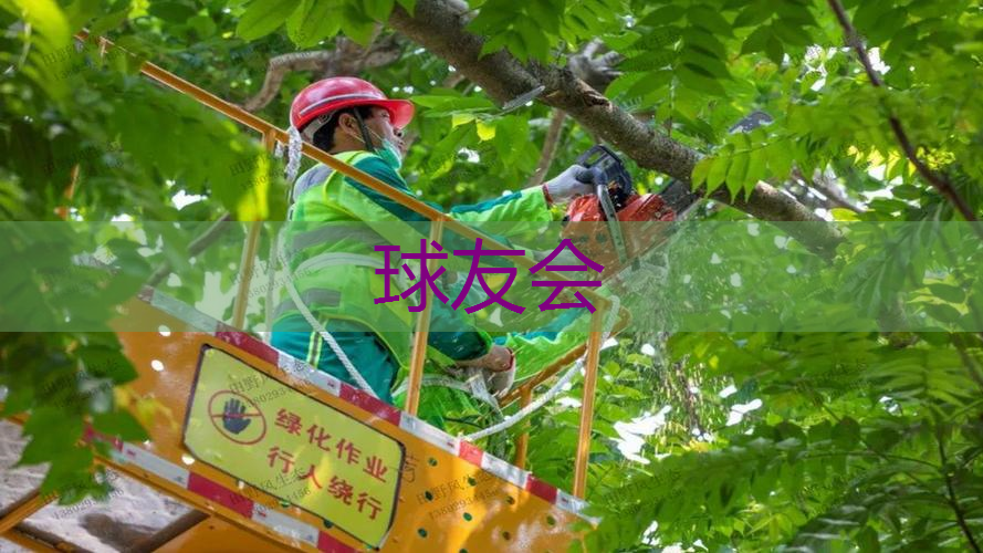 合肥绿化工程基地在哪里 合肥绿化工程基地在哪里