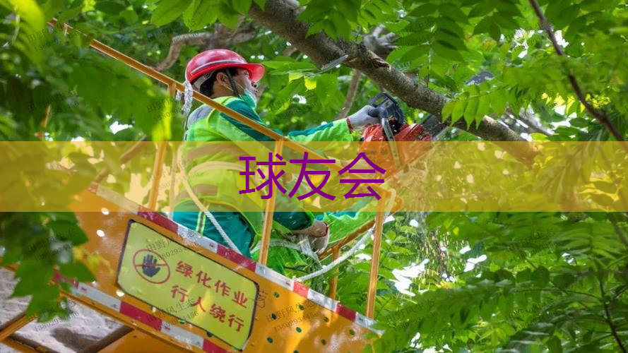 村口园林景观设计 村口园林景观设计