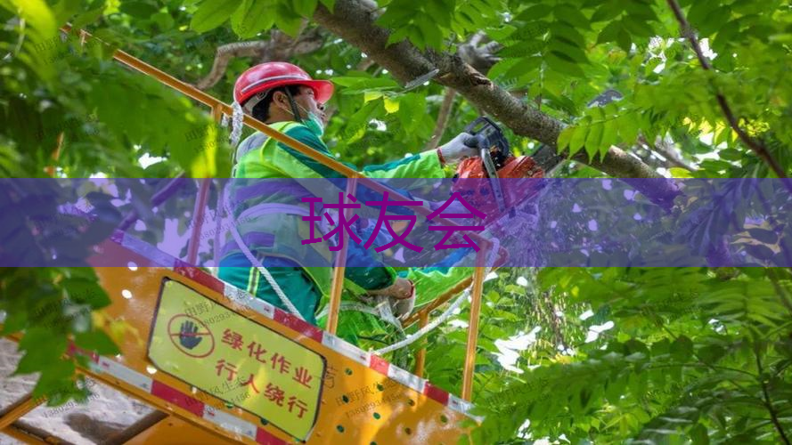 1200平米园林景观设计 1200平米园林景观设计