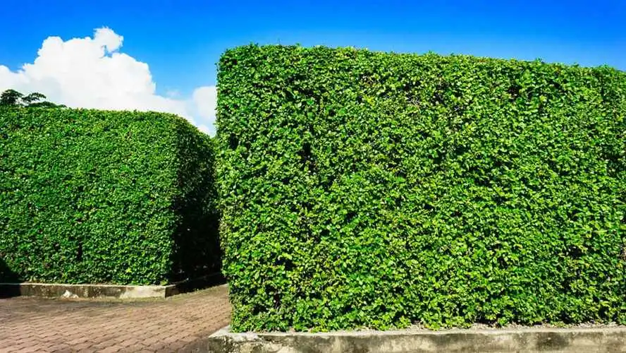 彩铅风景园林景观设计 彩铅风景园林景观设计