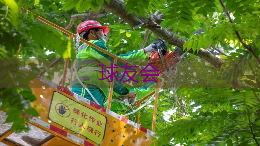 园林管理水平堪忧 草坪野草丛生,景区形象遭受冲击 园林管理水平堪忧 草坪野草丛生,景区形象遭受冲击