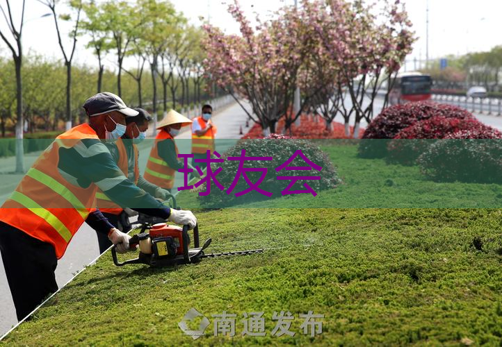 云南绿化工程求购信息平台 云南绿化工程求购信息平台