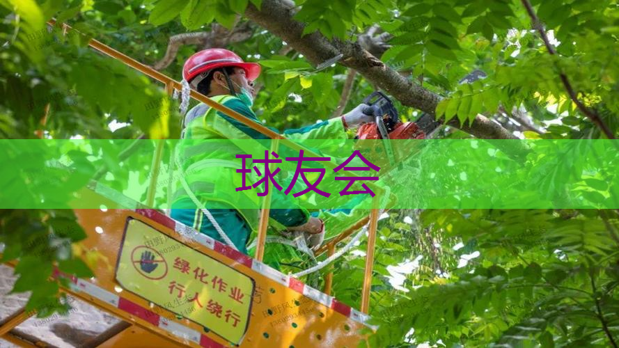 惠东县改变绿化规划、绿化用地的使用性质审批办理(流程、材料、地点、费用、条件) 惠东县改变绿化规划、绿化用地的使用性质审批办理(流程、材料、地点、费用、条件)