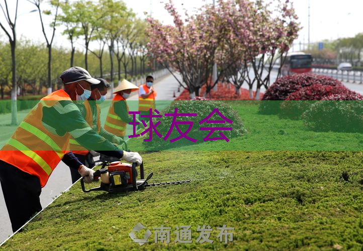 鲁中大街改造绿化工程 鲁中大街改造绿化工程