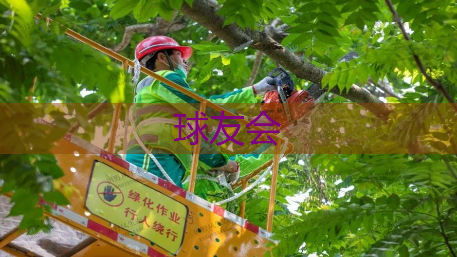 园林绿化工程的环境影响评价和监测方法 园林绿化工程的环境影响评价和监测方法