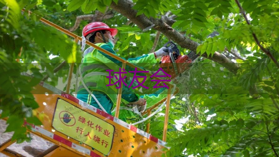 现代风格园林景观设计特点分析
